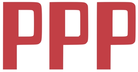 Logo des Arbeitgebers Panke Personalconsulting GmbH